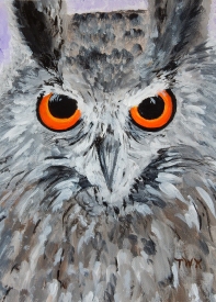 Owl Orange Eyes.jpg